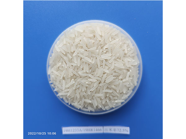 湖南興隆種業(yè)有限公司,長沙稻谷種植與銷售,長沙農(nóng)作物品種的選育,長沙農(nóng)業(yè)病蟲害防治服務(wù)