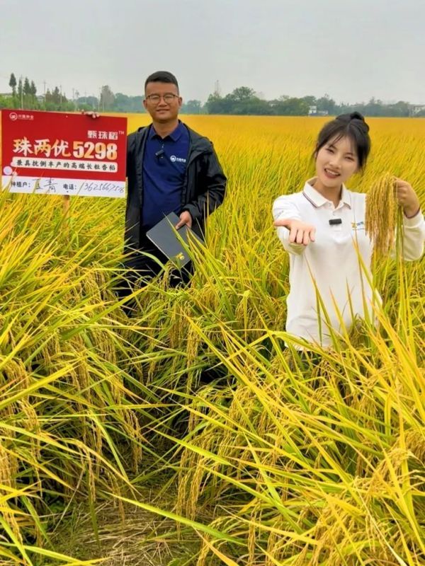 湖南興隆種業(yè)有限公司,長沙稻谷種植與銷售,長沙農(nóng)作物品種的選育,長沙農(nóng)業(yè)病蟲害防治服務 湖南興隆種業(yè)有限公司,長沙稻谷種植與銷售,長沙農(nóng)作物品種的選育,長沙農(nóng)業(yè)病蟲害防治服務